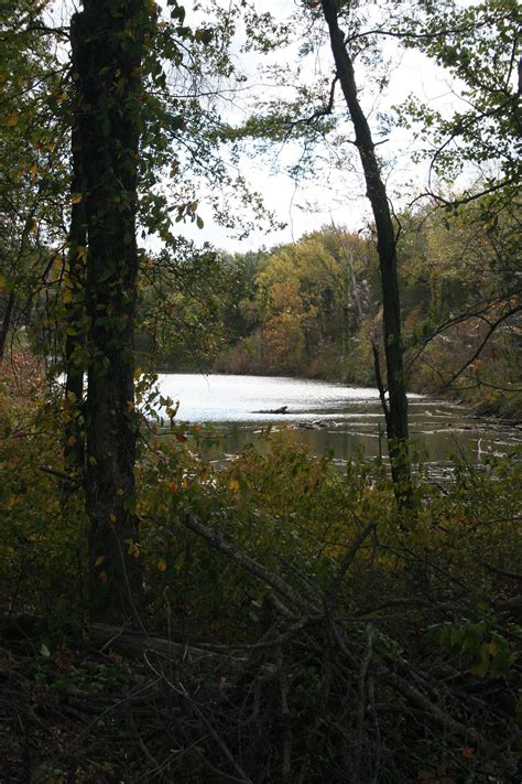 August Busch Jr Memorial Wetlands At Four Rivers Conservation Area