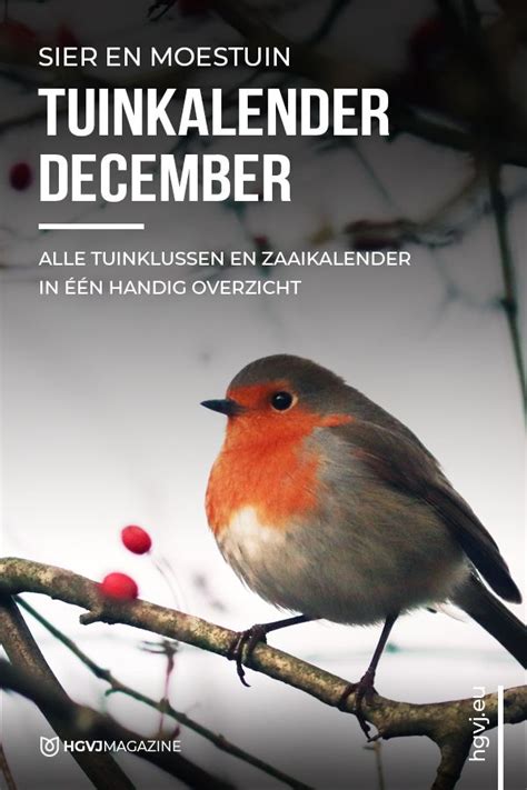 De Tuinkalender December Geeft Je Inzicht Voor Alle Tuinklussen Voor