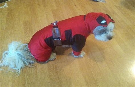 Deadpool Deadpool Dog Costume Halloween Dog Costume - Etsy UK