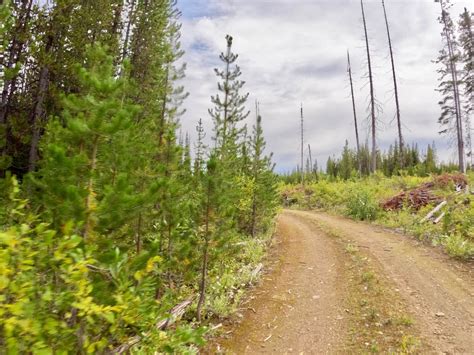South Fork Second Creek Road Nine Mile Divide Trailhead Montana Gps