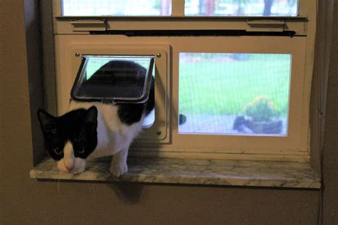 Diy Build Window Cat Door Homestead And Pine Cat Door Cat Door Diy