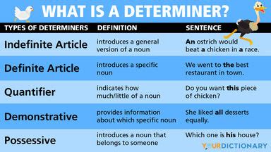 Determination Synonyms: 93 Synonyms and Antonyms for Determination ...