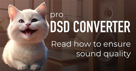 DSD Converter Software > Reach Top Sound Quality 2024