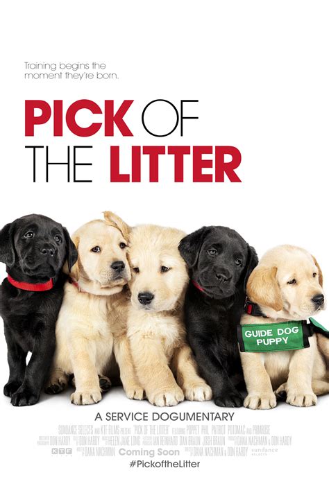 Pick Of The Litter 2018