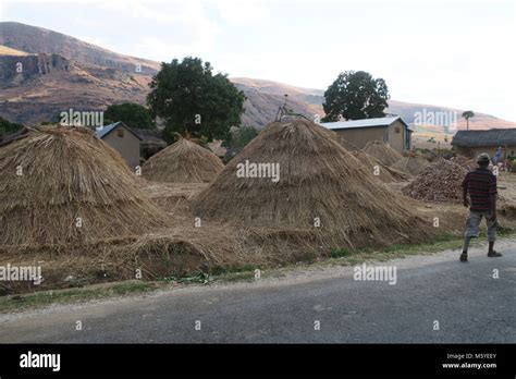 A village on Madagascar island Stock Photo - Alamy