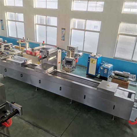 Azone Machinery Factory For Automatic Vacuum Stretch Film Form Seal