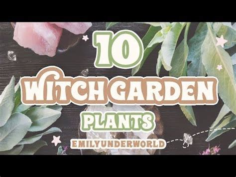 Plants For Your Witch Garden Herbs For Witches Herbs To Grow For