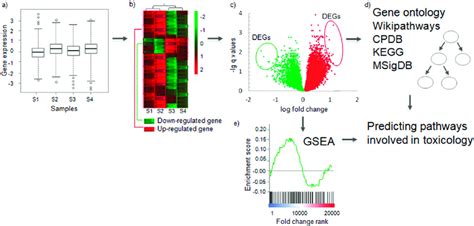 Determining Differentially Expressed Genes And Conducting Pathway