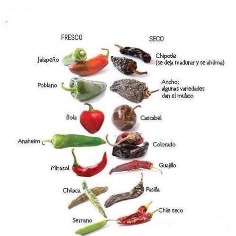 Difference Between Fresh And Dried Chiles Mexican Cooking Mexican Food