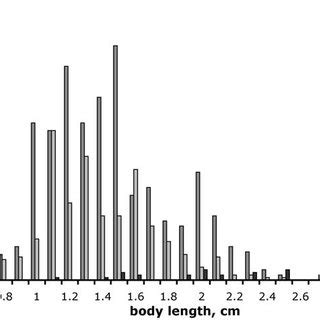 Total Body Length Size Frequency Distribution Counts Of Amphipods