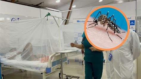 Minsa Reconoce Deficiencia En Atenci N Por Casos De Dengue Se Est