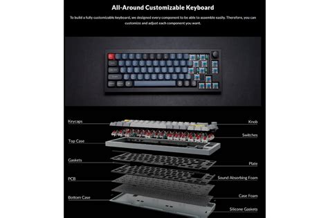 Keychron Q QMK Keys RGB Compact Wired TKL Mechanical Keyboard W Hot Swappable Knob Q C
