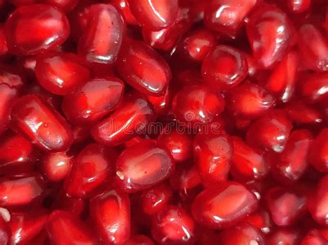 Close Up Of Pomegranate Seeds In Daylight Stock Image Image Of