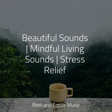 Beautiful Sounds Mindful Living Sounds Stress Relief Album By