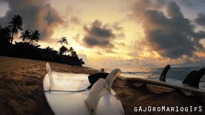 Surfing GIFs - Find & Share on GIPHY