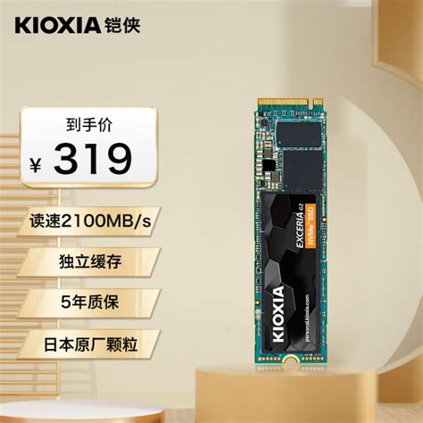 铠侠Kioxia1000GB SSD固态硬盘 NVMe M 2接口 EXCERIA G2 RC20系列图片 价格 品牌 评论 京东