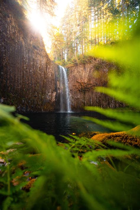 Abiqua Falls: The Photographer's Guide