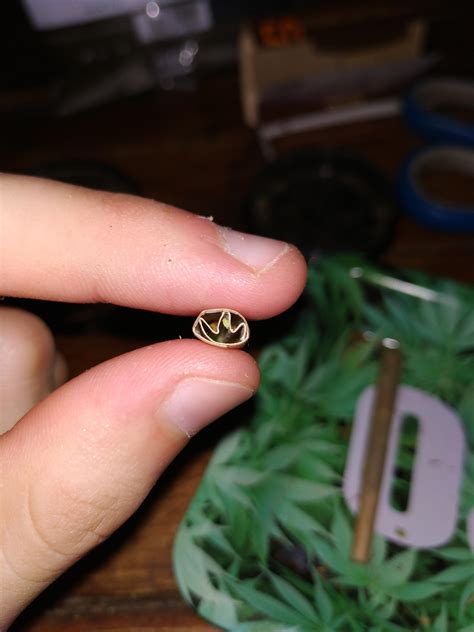 The filter of this joint I rolled looks like a cannabis leaf : r/weed