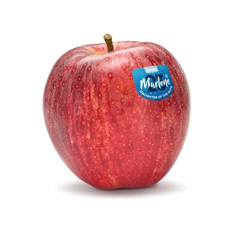 Apple Variety Royal Gala Marlene®