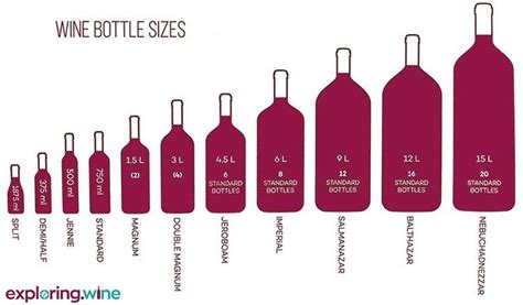 The Different Sizes Of Wine Bottles Wine Bottle Bottle Wine