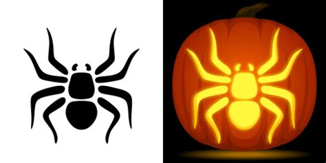 20 Spider Pumpkin Carving Templates