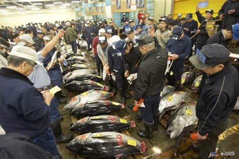 築地必走訪的七個景點〜築地市場、鮪魚競標、壽司、料理體驗〜 Funtime旅遊比價