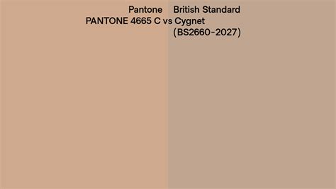 Pantone 4665 C Vs British Standard Cygnet BS2660 2027 Side By Side