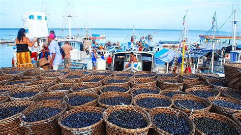 Feira Do Açaí Ver O Peso - Blog do Facó: MERCADO DE VER-O-PESO – BELÉM DO PARÁ