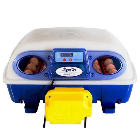 Real Automatic Incubator Capacity Eggs Model Automatic