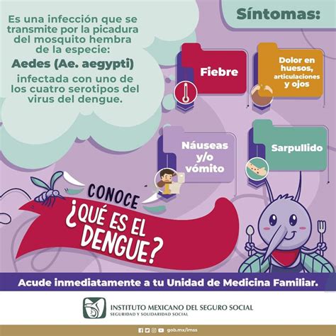 Exhorta IMSS Veracruz Sur A Prevenir El Dengue