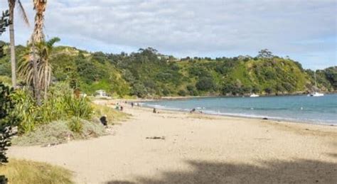 Waiheke Island Day Trip: Things to Do & One Day Itinerary – Earth Trekkers