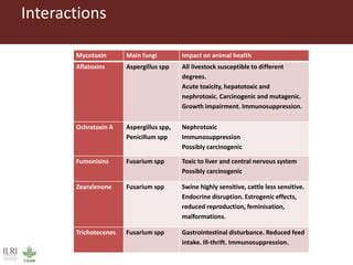 Aflatoxins and animal health: Case studies from Africa | PPT