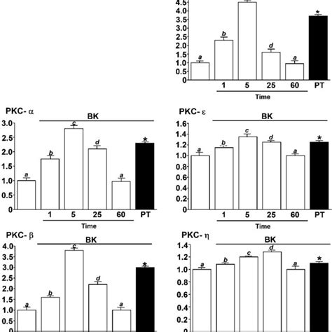 Fold Translocation Of Pkc Isozymes Provoked By 1·0 M Bk At Various