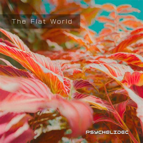 The Flat World Psychillpsydub Album Psychelidec