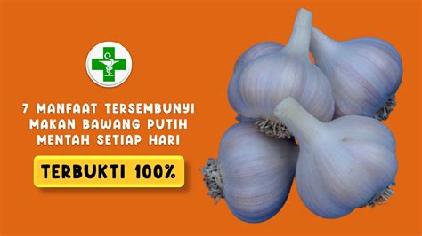 7 Manfaat Tersembunyi Makan Bawang Putih Mentah Setiap Hari I Terbukti