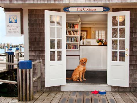 Five Luxurious Hotels That Pamper Your Pets – Forbes Travel Guide Stories