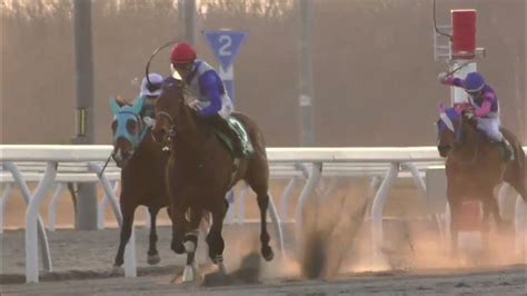 20220420「日本一早い2歳新馬戦」jra認定スーパーフレッシュチャレンジ競走1（門別1000m）は単勝10倍③ポリゴンウェイヴ（牡2