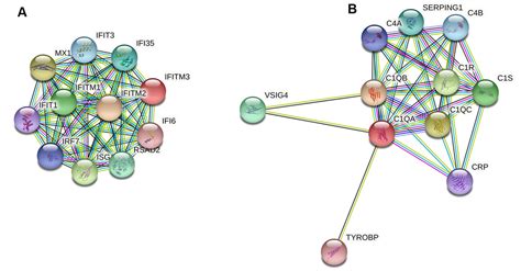 Sex Specific Differences Of Humoral Immunity And Transcriptome