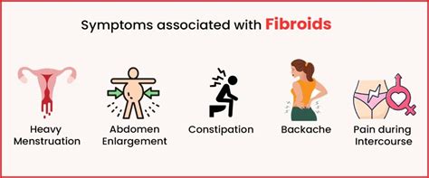 Uterine Fibroids Causes Symptoms And Treatment Imprimis Ivf