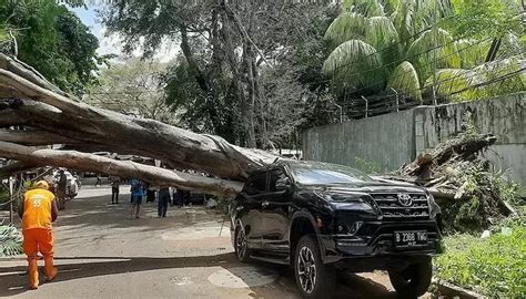 Pohon Besar Tumbang Di Depan Rumah Prabowo Bikin Fortuner Dokter Polri