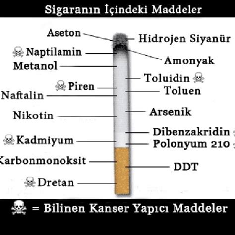 Sigara Ve Alkol N Zararlar N Anlatan Resimler Sayfa