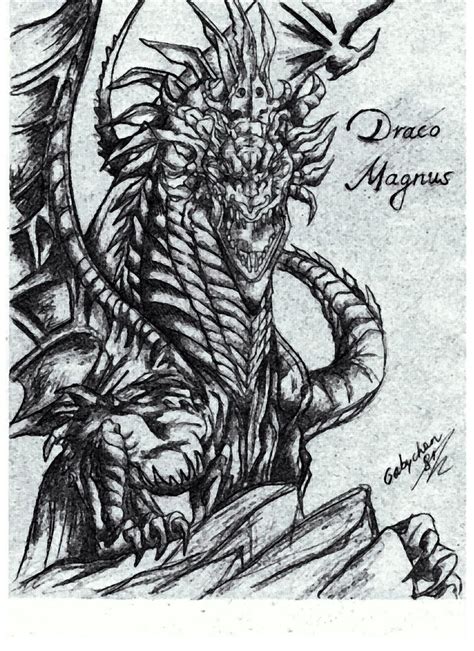 Draco Magnus By Gabychan91 On Deviantart