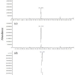 Total Ion Chromatograms From The GC MS Analysis Of The SPME Of Sirex