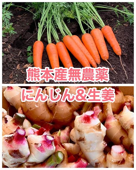 熊本産農薬不使用にんじんand生姜コンパクト メルカリ