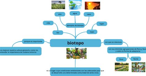 Ecologia Tarea Mapa Mental De Biotopo