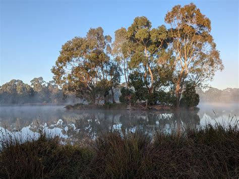 Morning shots!! Edgan Lee Reserve : r/melbourne