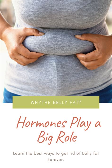 Get Rid Of Hormonal Belly Fat Artofit