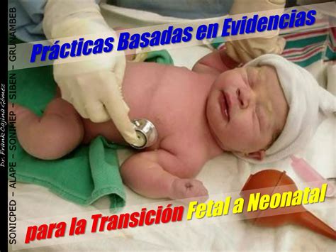 Prácticas Basadas En Evidencias Para La Transición Fetal A Neonatal Ppt