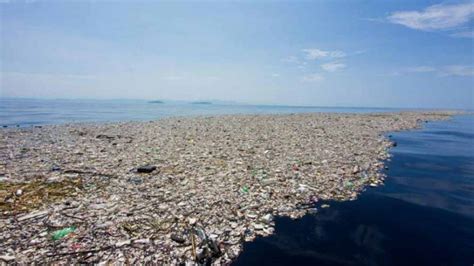 Il Mediterraneo Ha La Sua Isola Di Plastica La Redazione