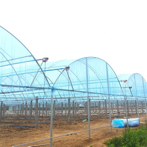 Smart Multi Span Tunnel Arch Pe Po Film Agriculture Commercial Eco